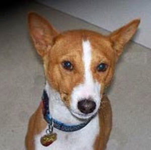 Meet your Posher, Alison